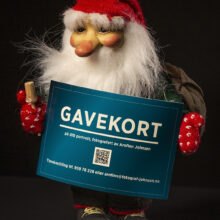 Gavekort portrettfoto